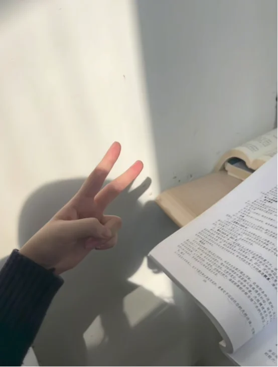 工资低就低吧,去公办大专当老师喽~