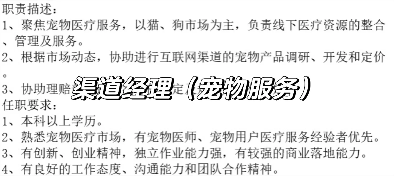 ?上海宠物人集合！高薪急招撸猫福利?
