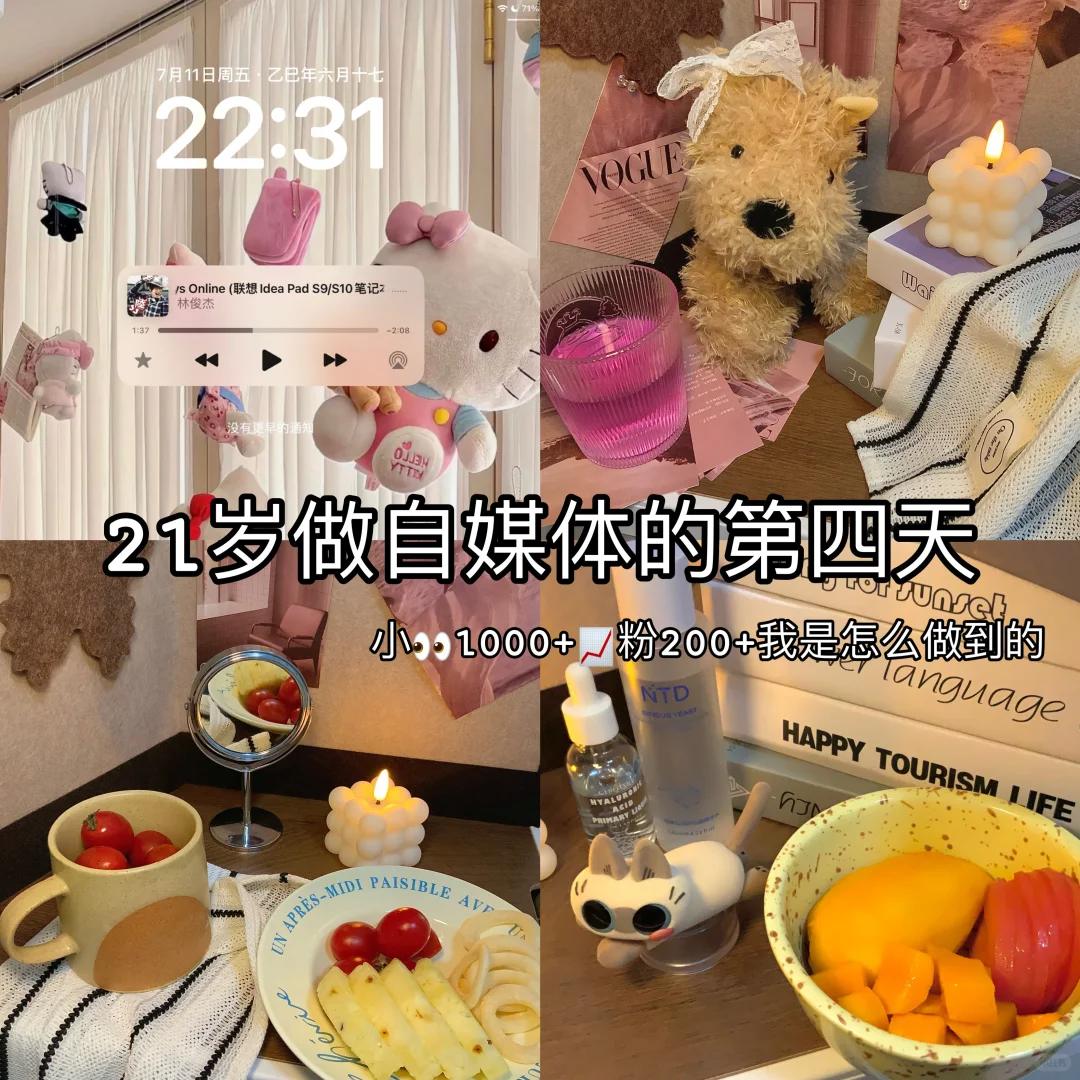 ✨PLOG|新人主播第4️⃣天?1000+㊙️籍分享?