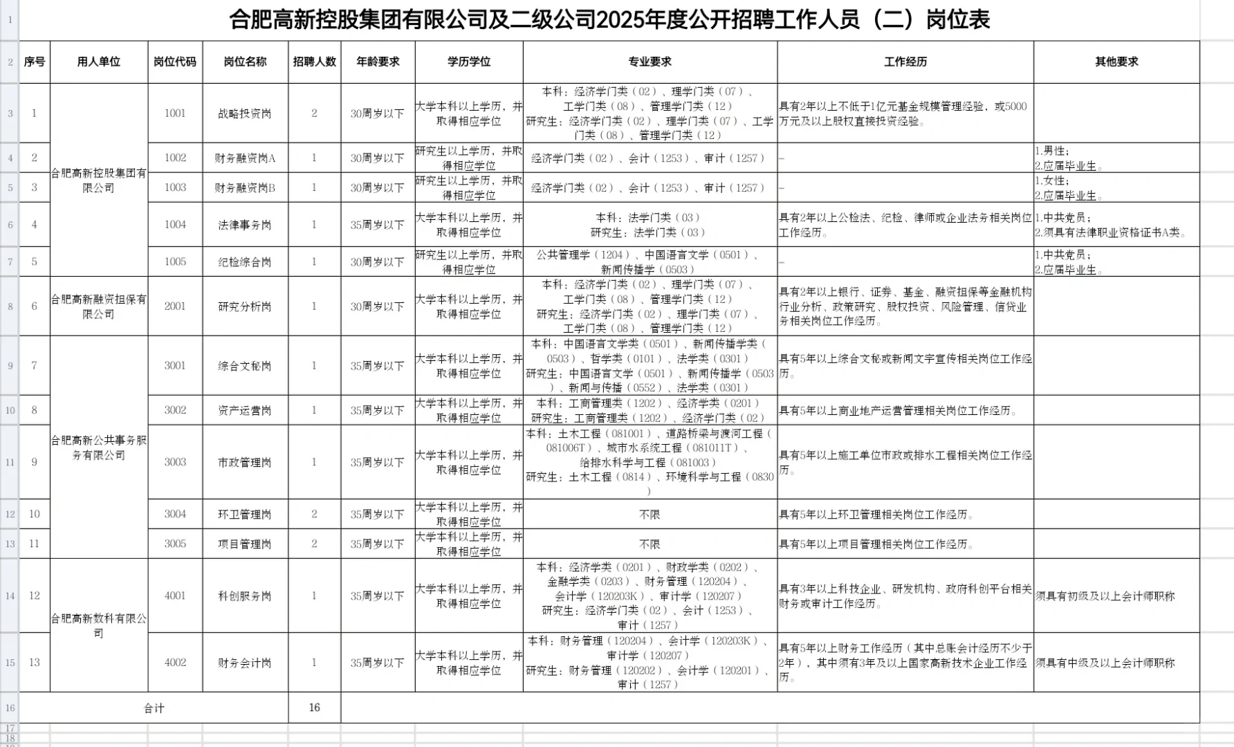 合肥高新控股集团有限公司2025年度招聘公告