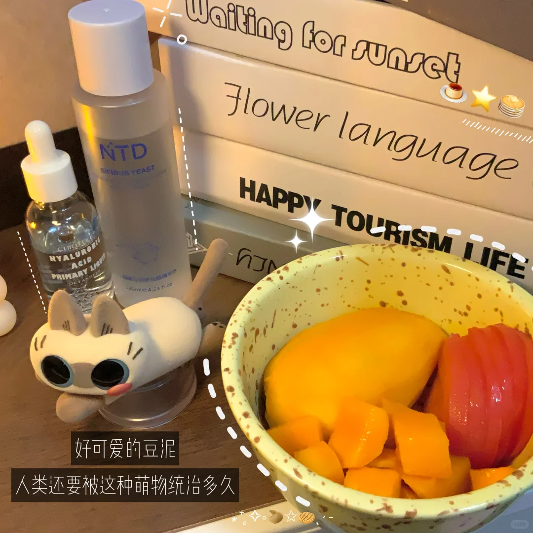 ✨PLOG|新人主播第4️⃣天?1000+㊙️籍分享?