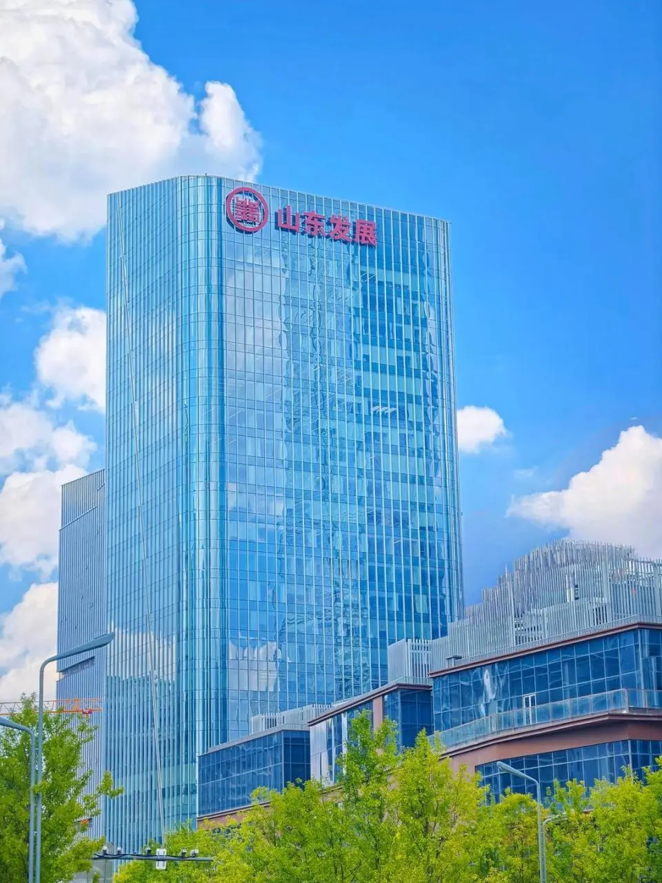 山东发展集团权属企业招聘(财务资金行政)