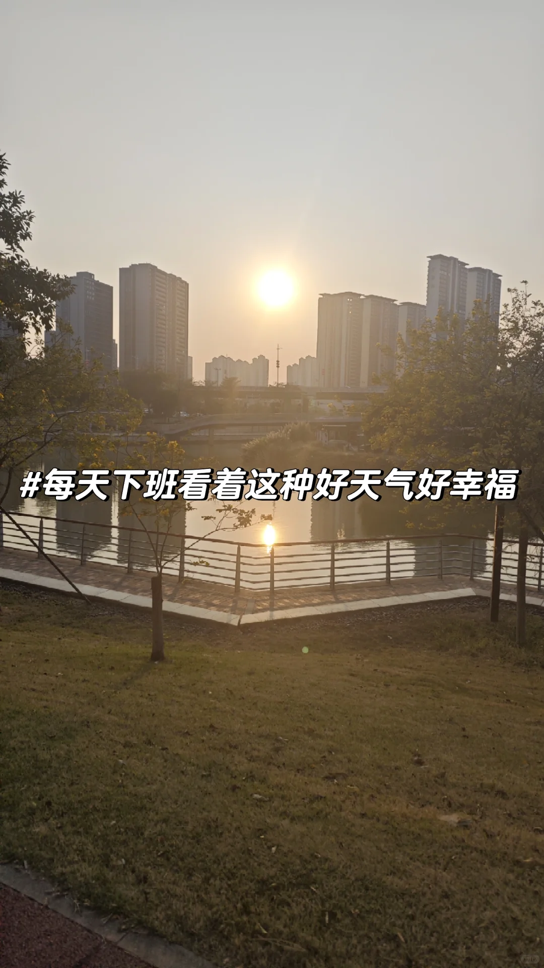 广外 | 打破信息差 大一寒假实习资源