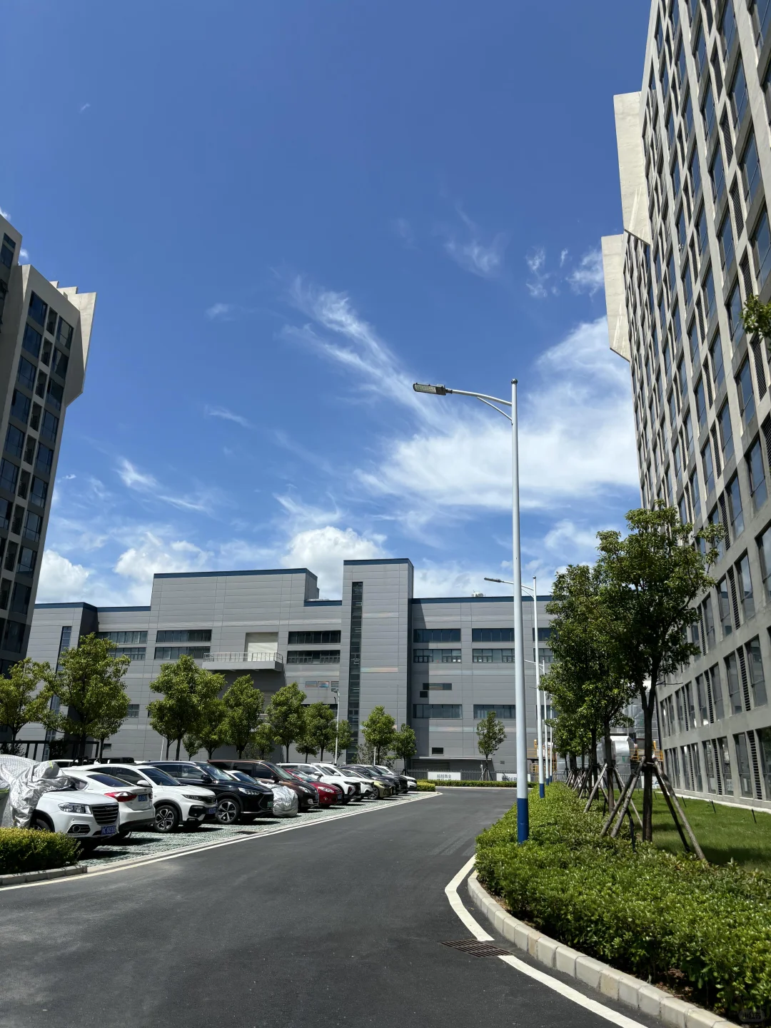 广东电子厂