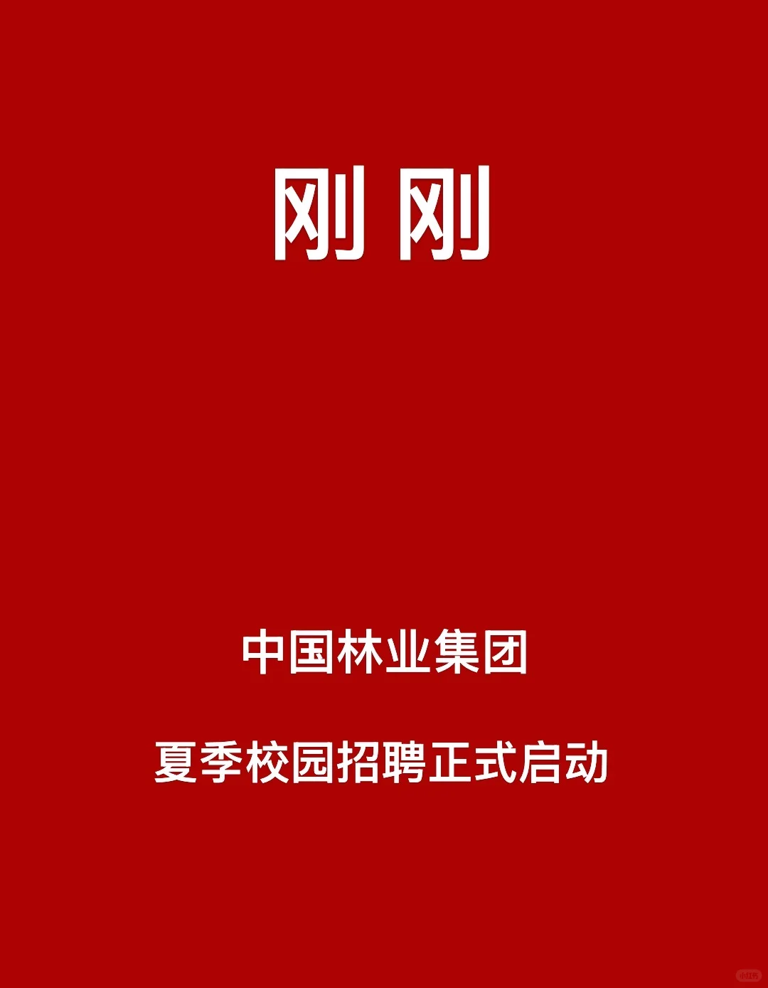 刚刚,中国林业集团校招启动!