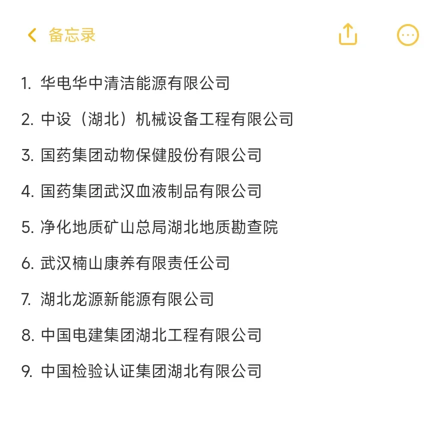 武汉–顶级央国企