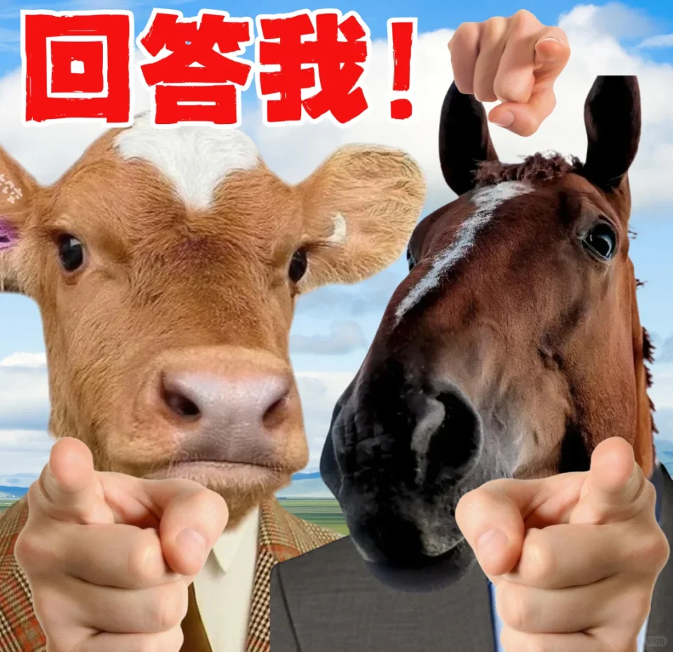 深圳招聘 | 可内推和我一起当上下班搭子!