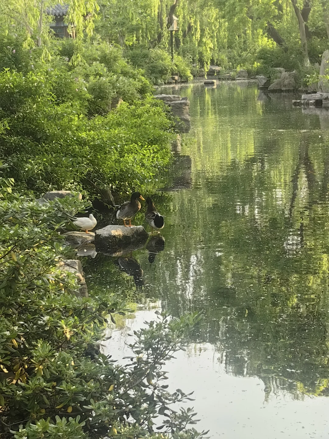 历下区周末双休 早9晚5 无试岗期五险一金工