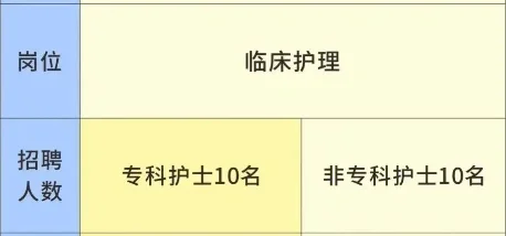 市第一人民医院,招聘护士20人