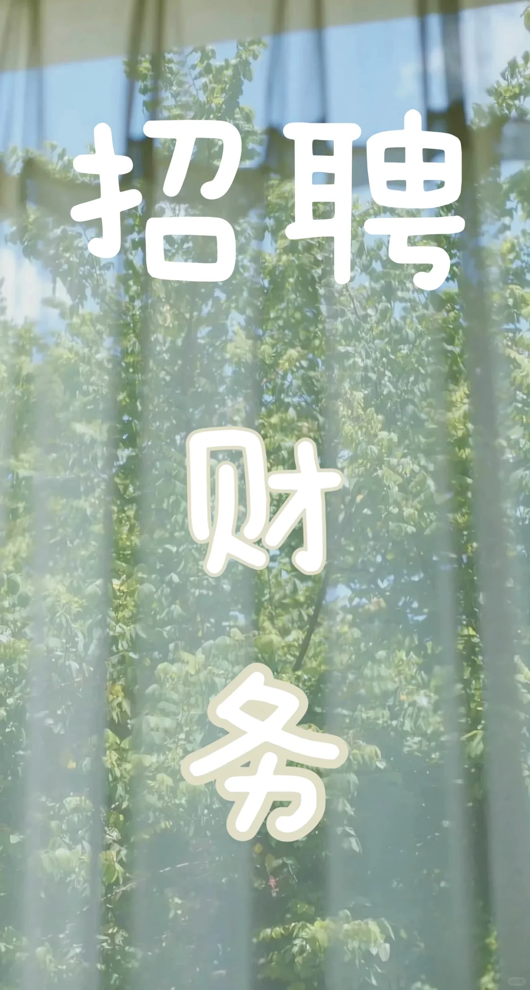 长沙市中心财务招聘