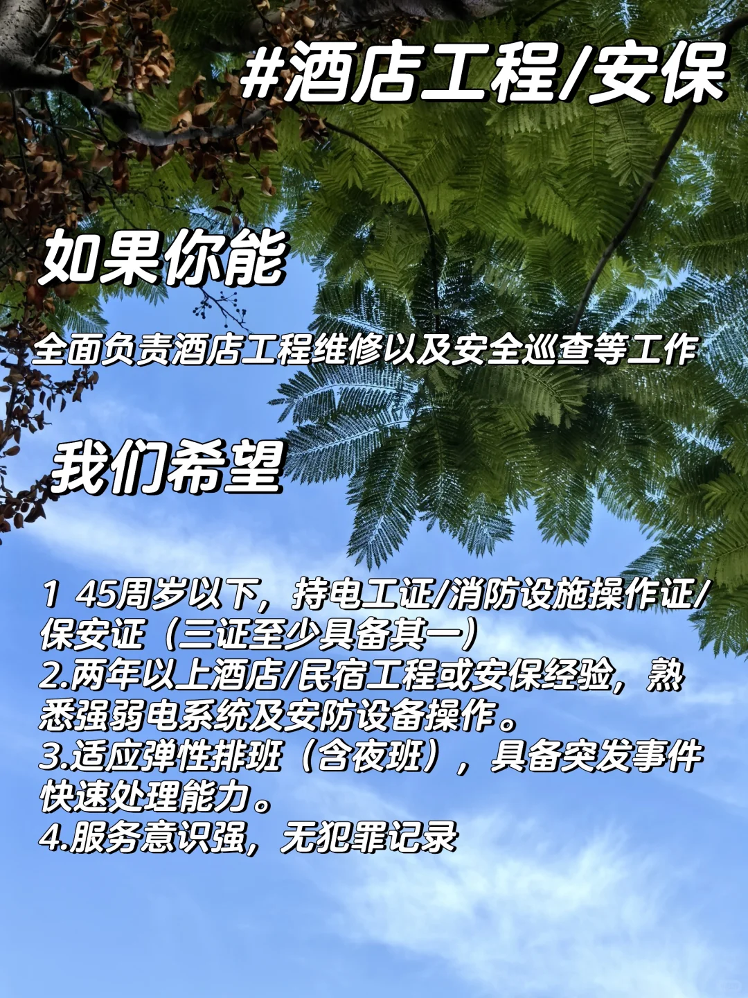 文旅招聘| 很好玩的事情!