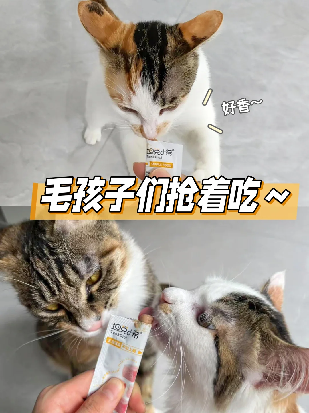 月薪三千,吃上了官方认证的主食猫条!