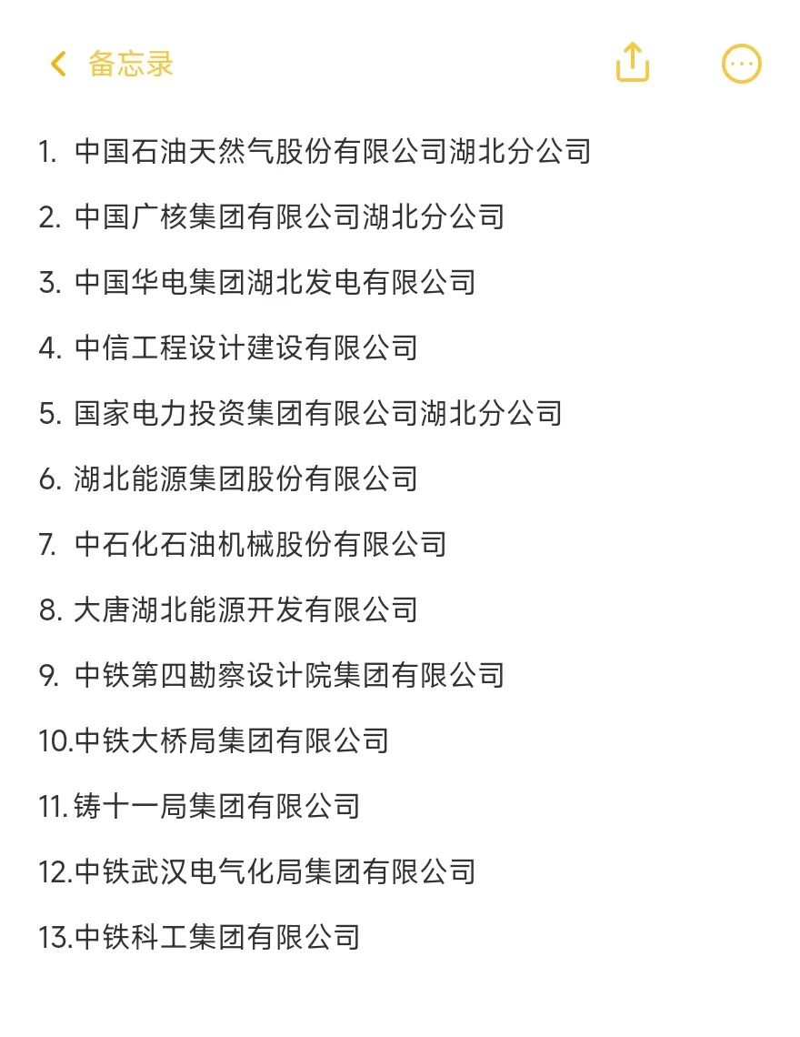 武汉–顶级央国企