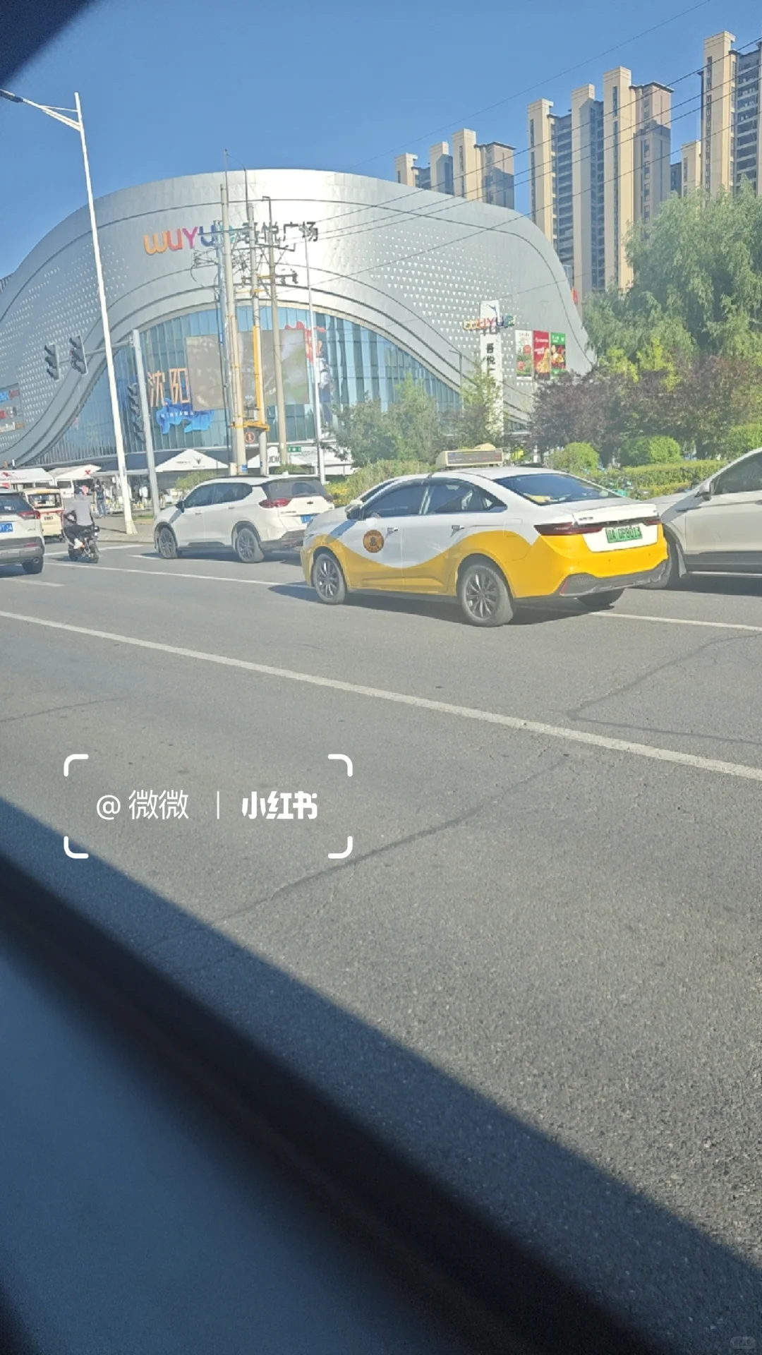 沈阳又让我失业了