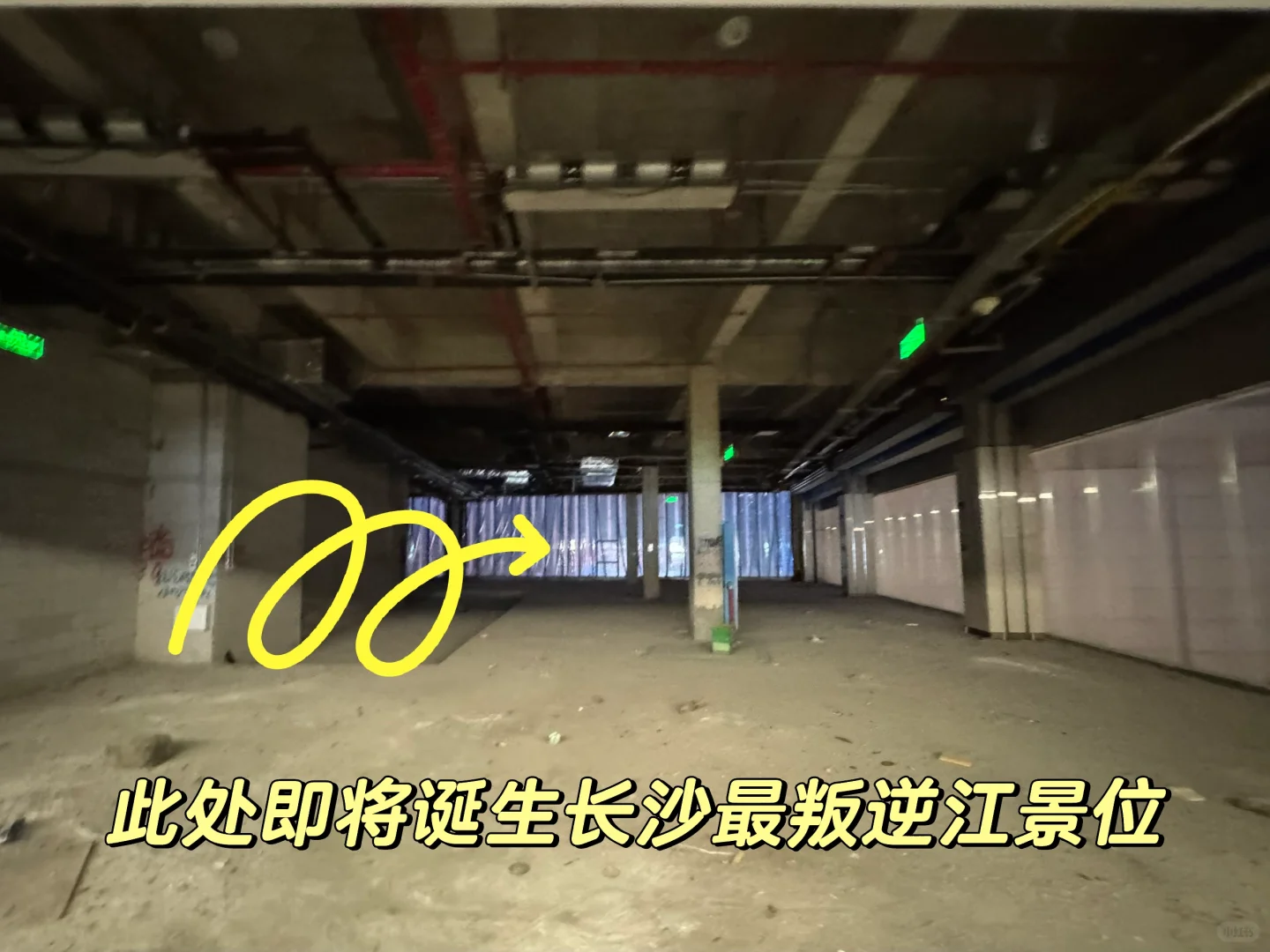 Last day|上市公司月薪1W+海归辞职卖素食