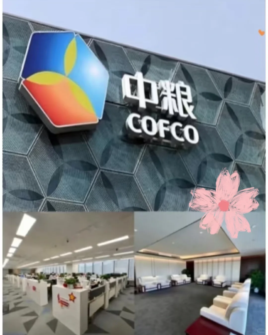 七月底想来中粮集团的应届生,速投!七月底