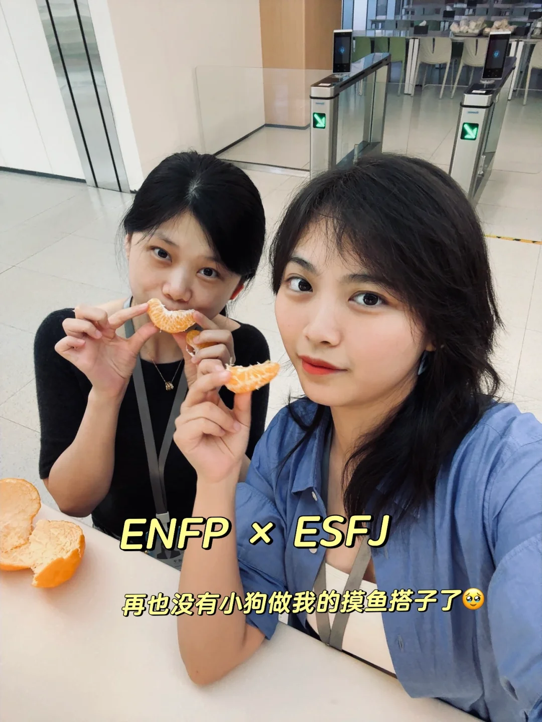 Last day|上市公司月薪1W+海归辞职卖素食