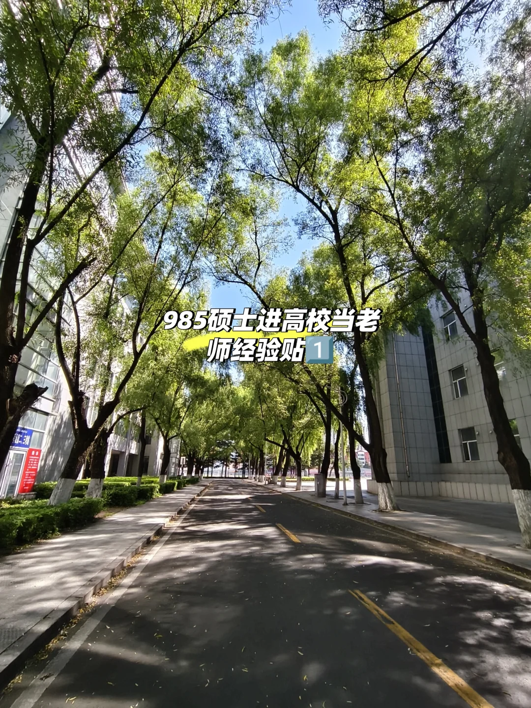 硕士进公办高校经验贴1️⃣来啦