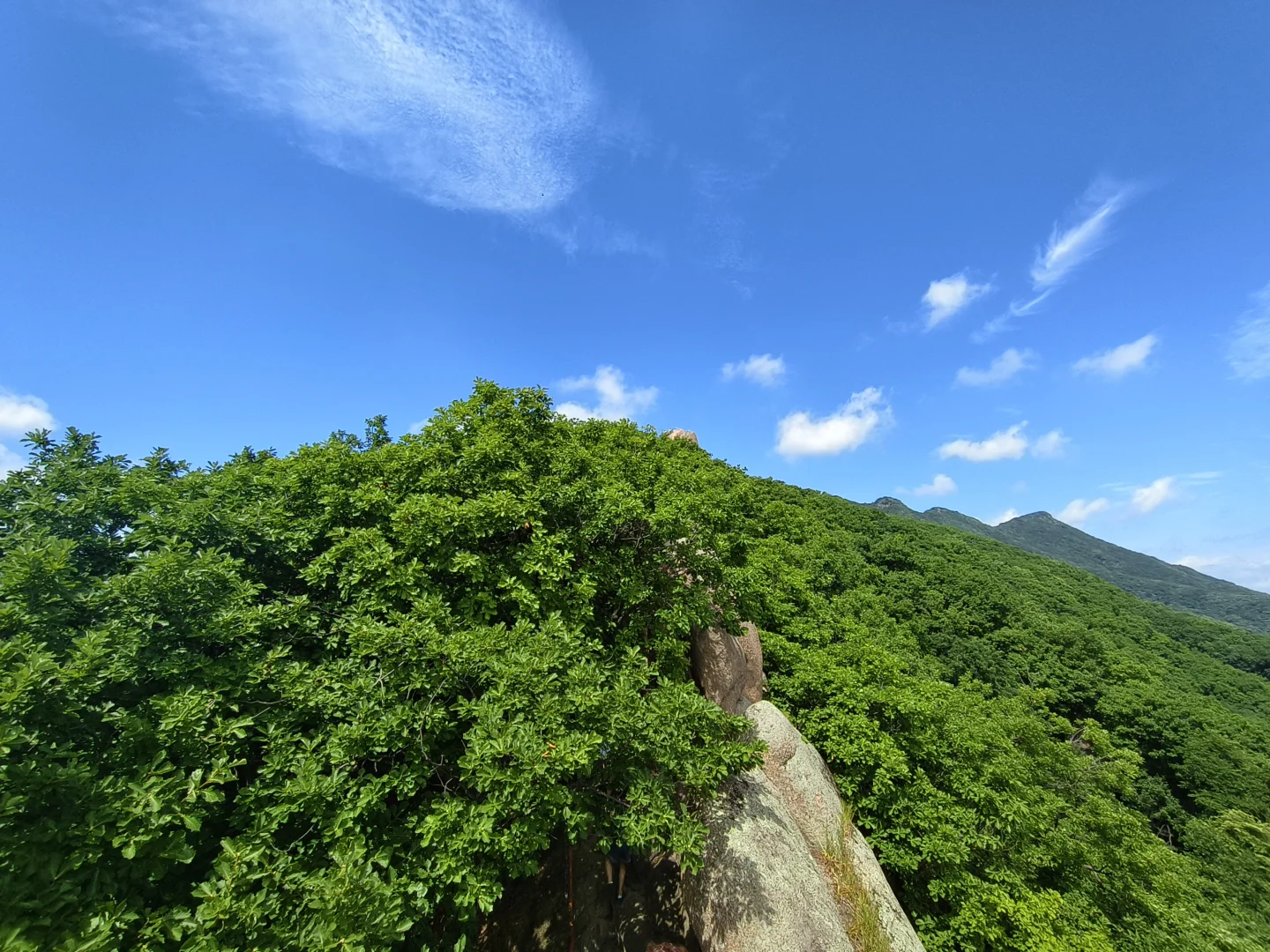 硕士进公办高校经验贴1️⃣来啦