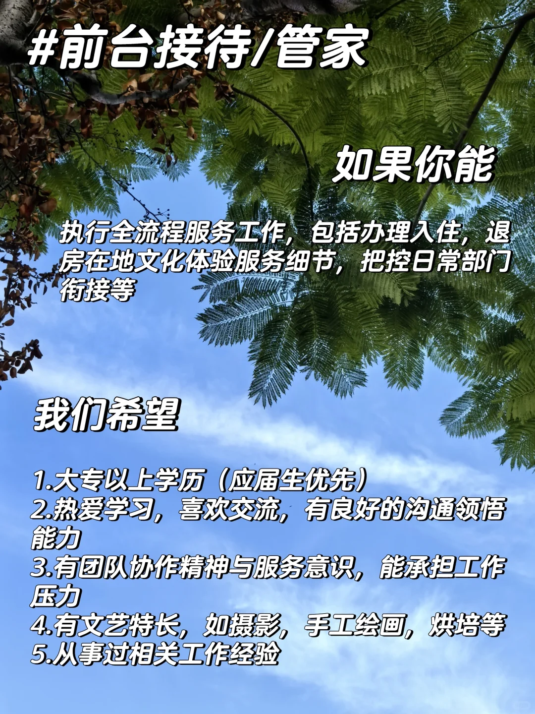 文旅招聘| 很好玩的事情!