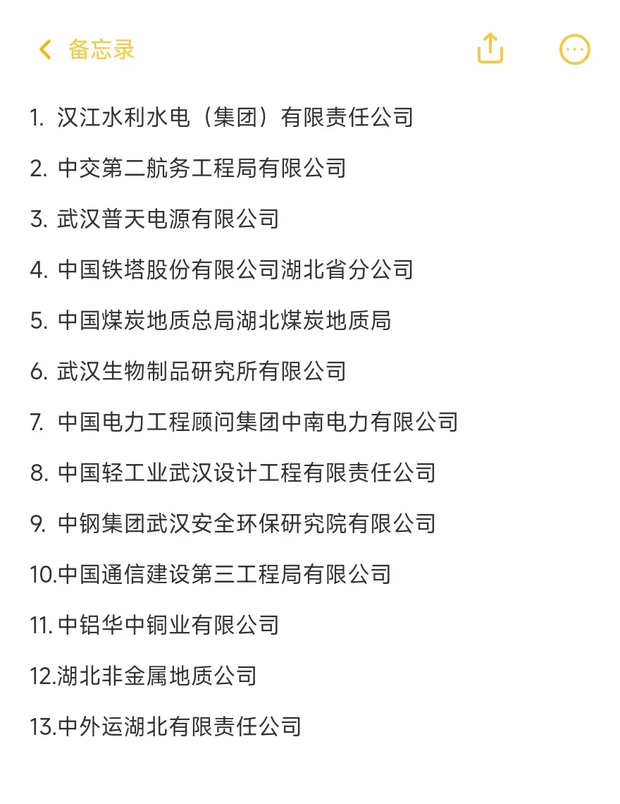 武汉–顶级央国企