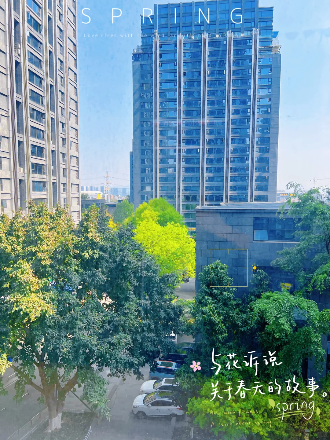 招聘啦！急聘各类人才！