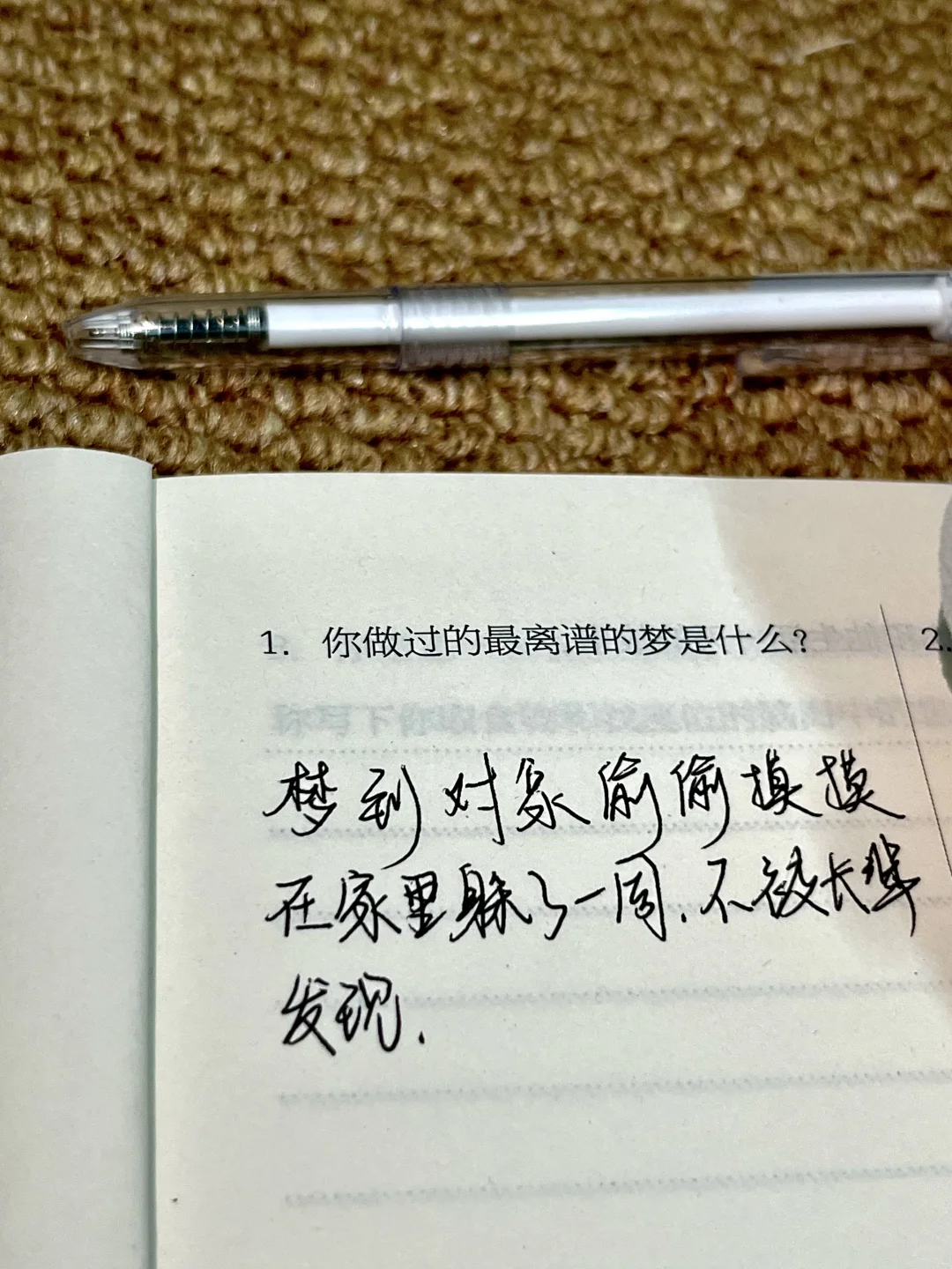 Plog新人博主第1️⃣天｜懵懵懂懂开始了?