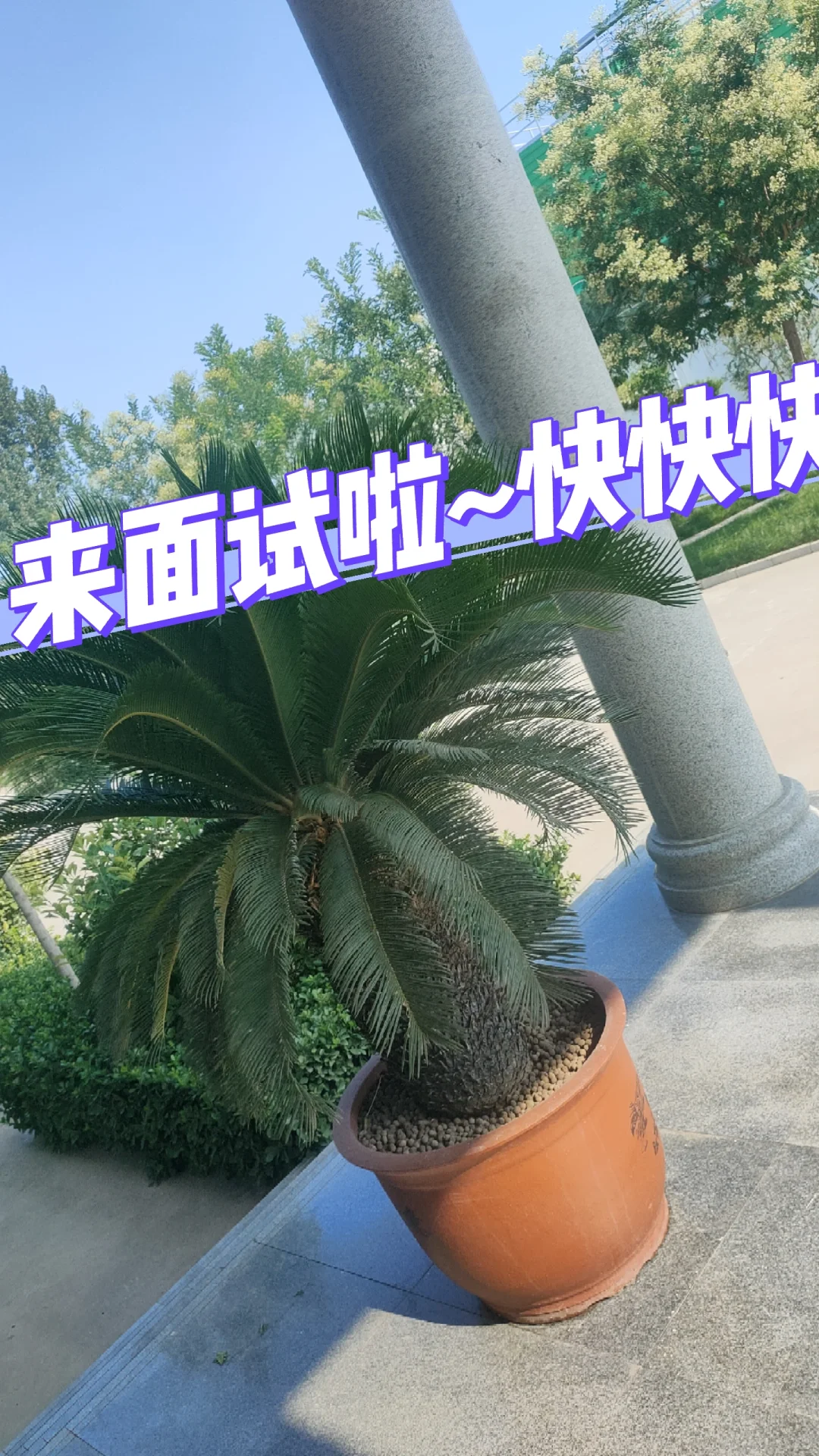 邢台地区招聘，管吃