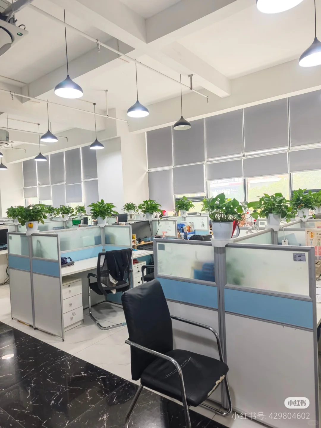 招聘 双休社保