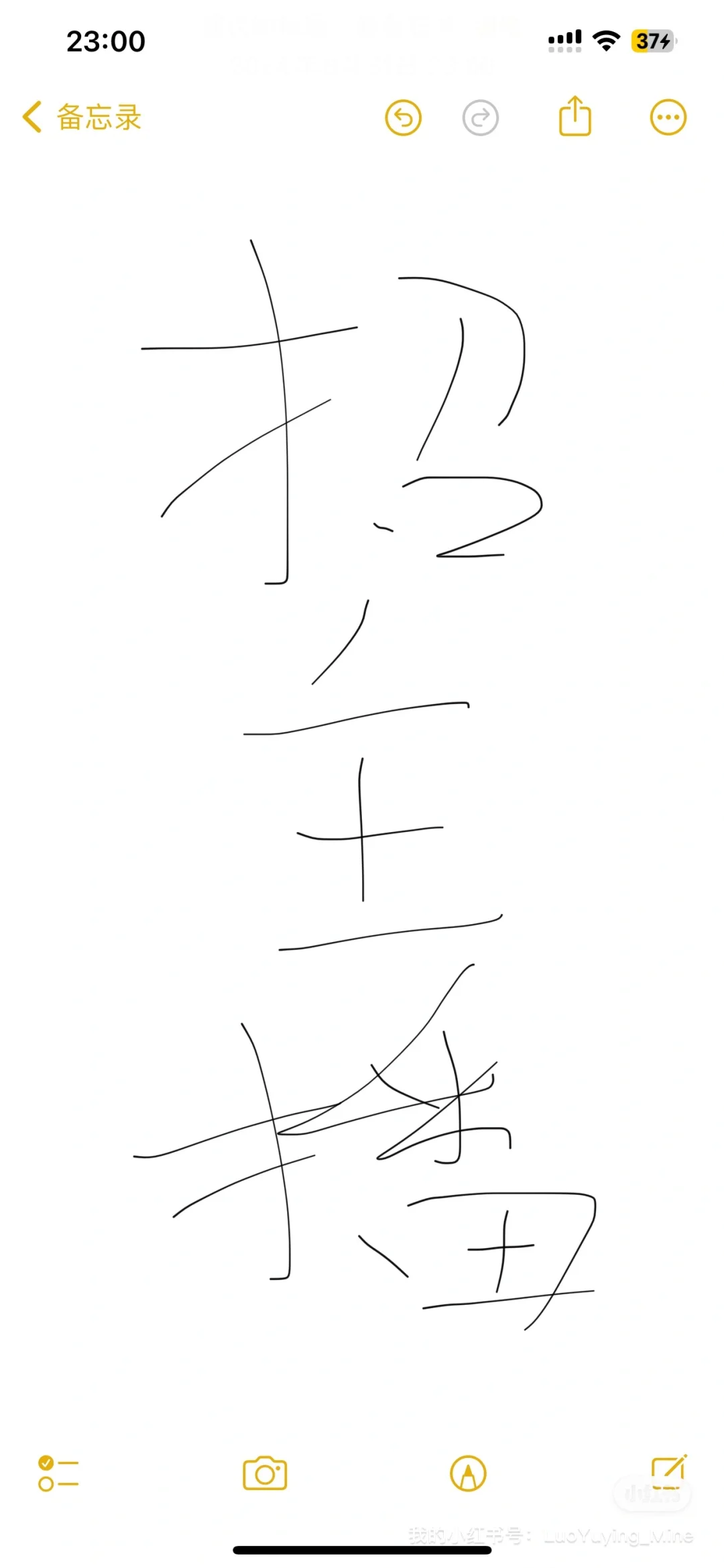 招盲盒拆卡主播，招E人！