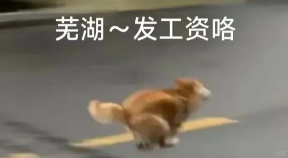 小教师发工资了,公积金也涨了