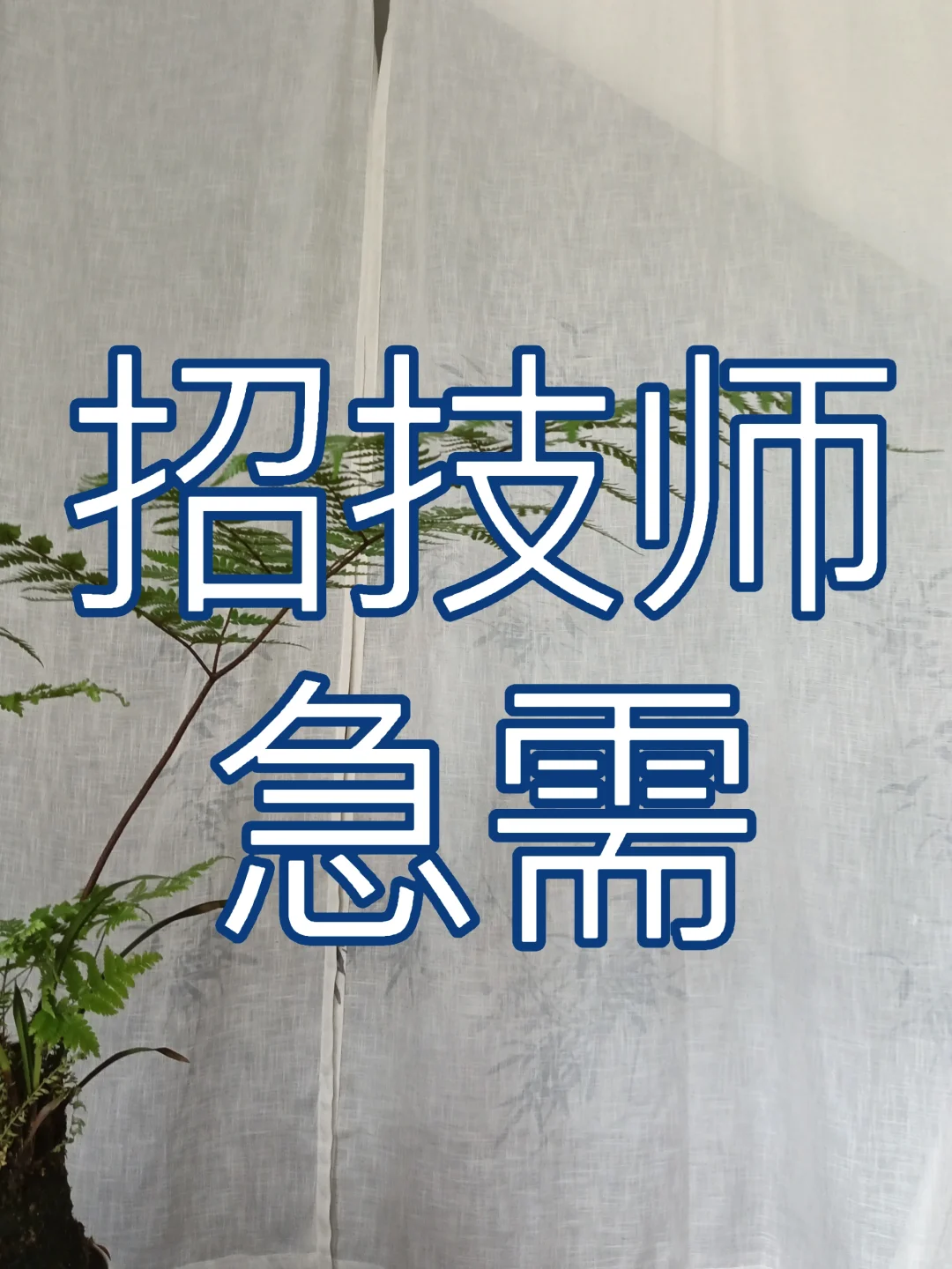 招技师啦