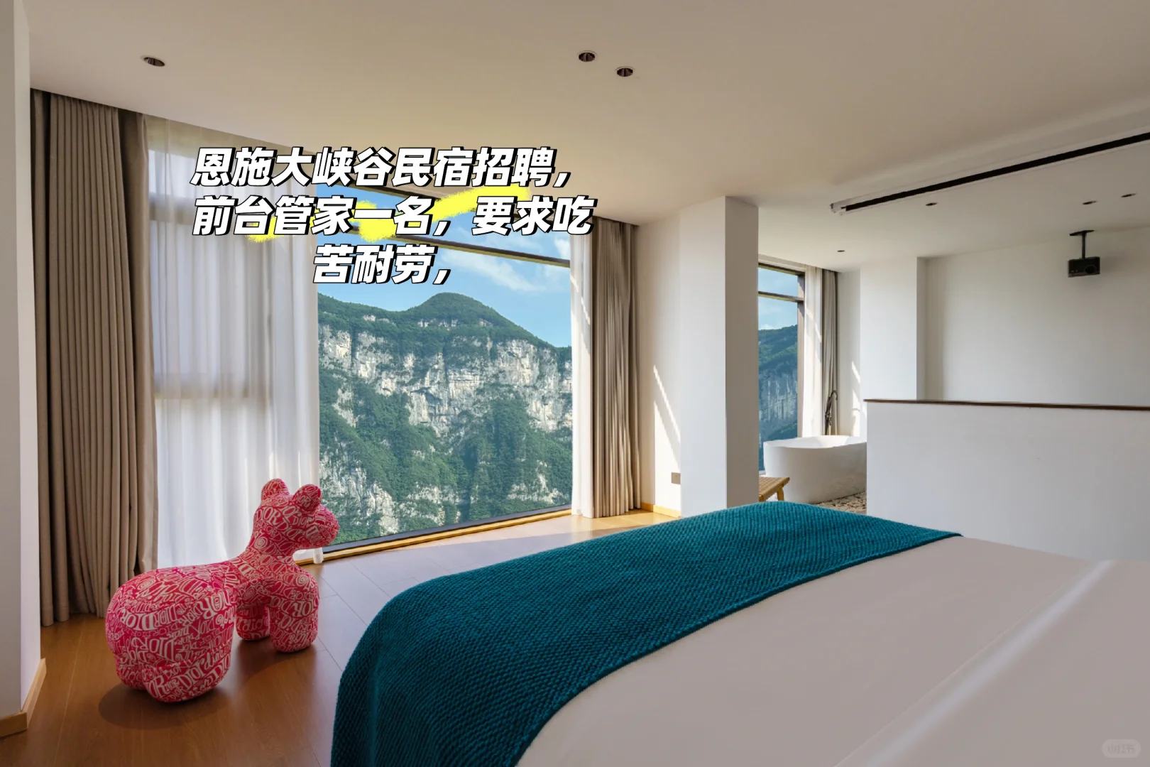 招聘，招聘招聘