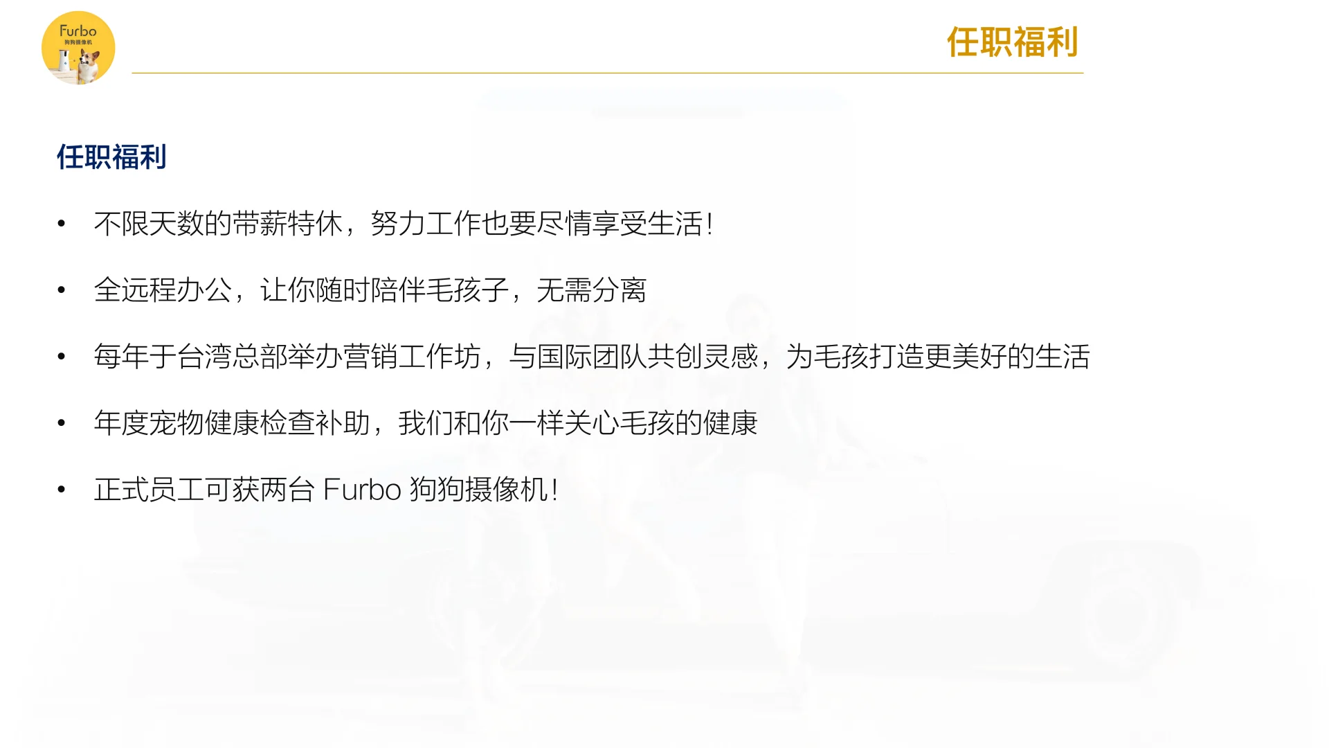 知名宠物公司，正在面向中国 招聘 远程岗位