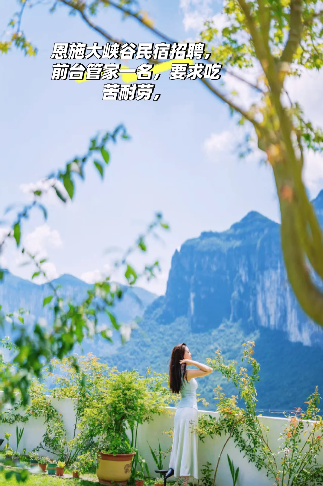 招聘，招聘招聘