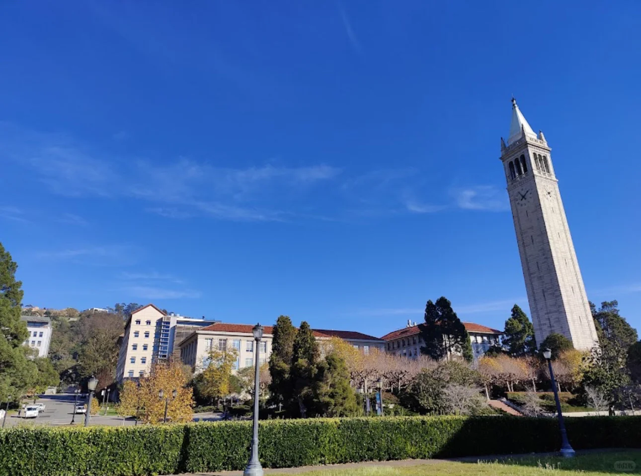 湾区机会｜UC Berkeley Web3 活动招现场兼职
