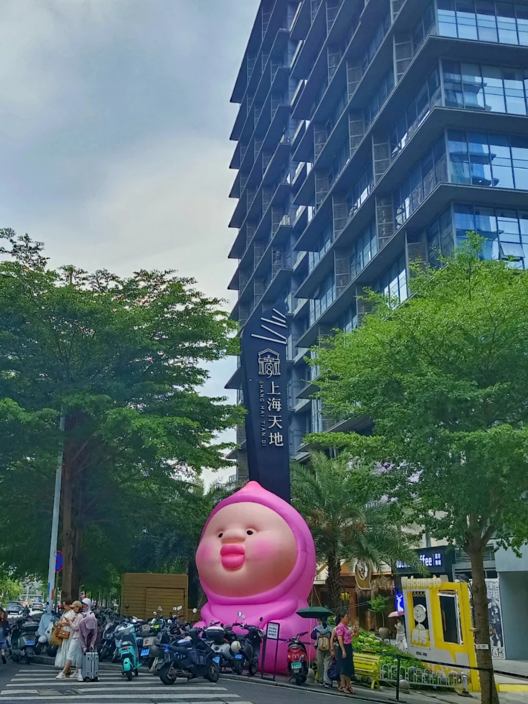 青秀区 律师助理 专业不限
