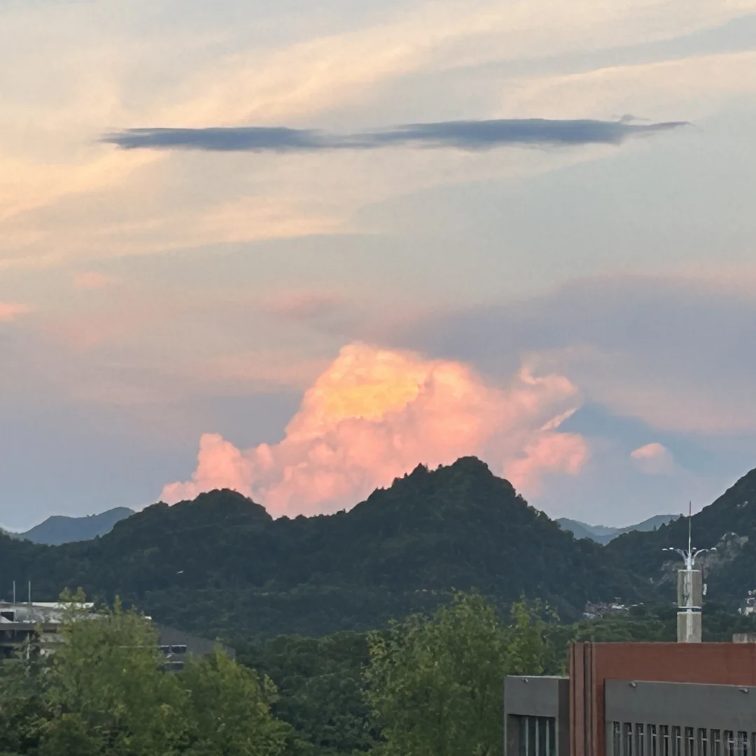 25届环境人求职日记