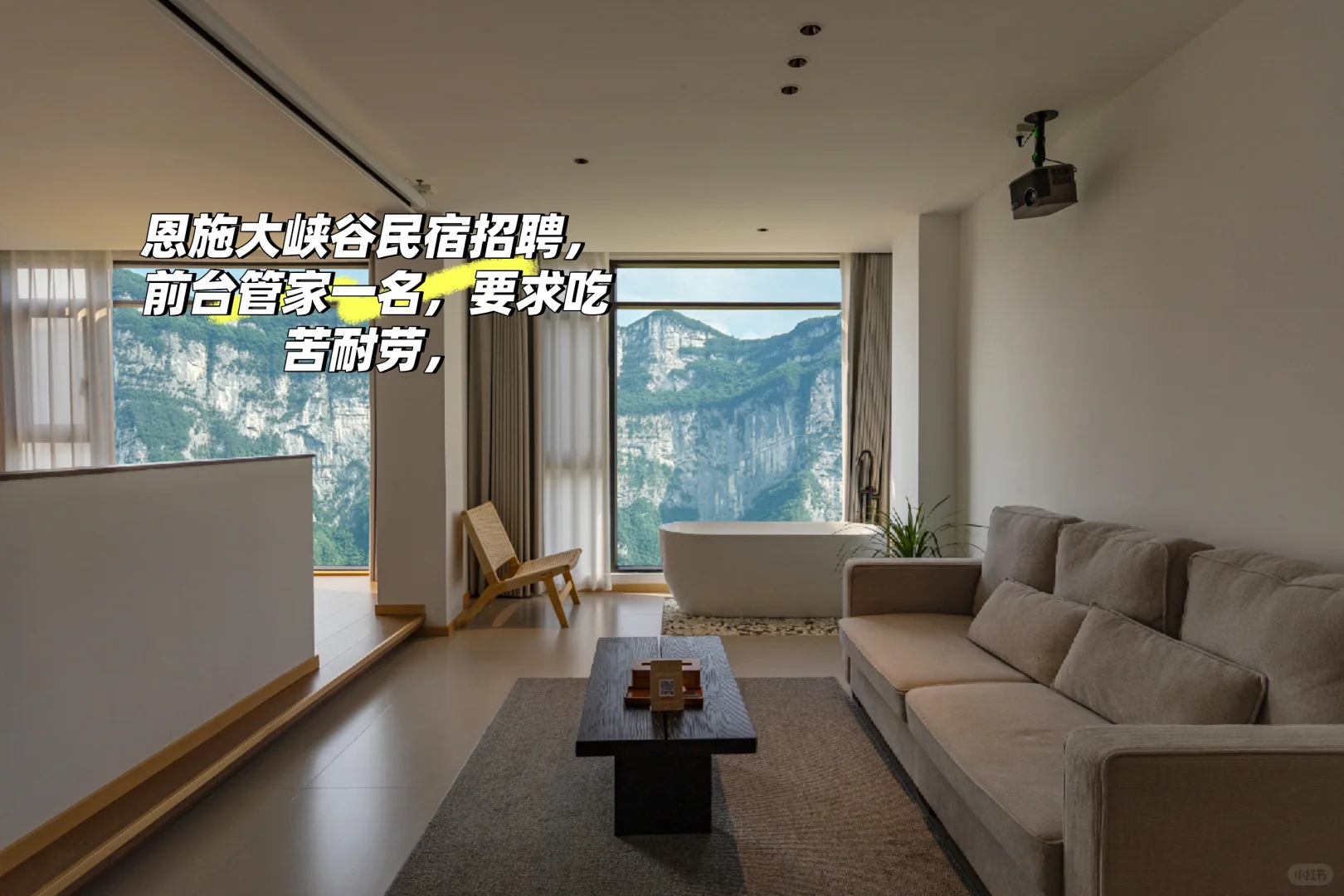 招聘，招聘招聘