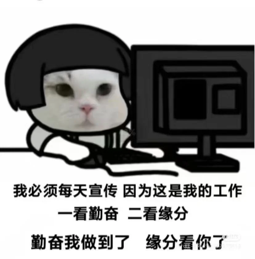 在一家传媒公司上班是一种什么体验