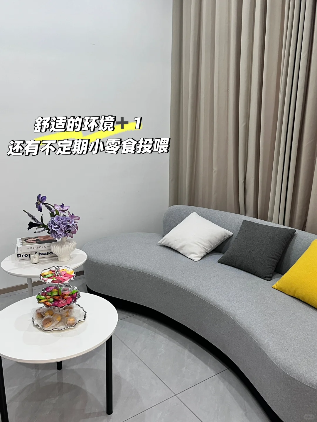 家人们?挖到合肥神仙传媒公司了