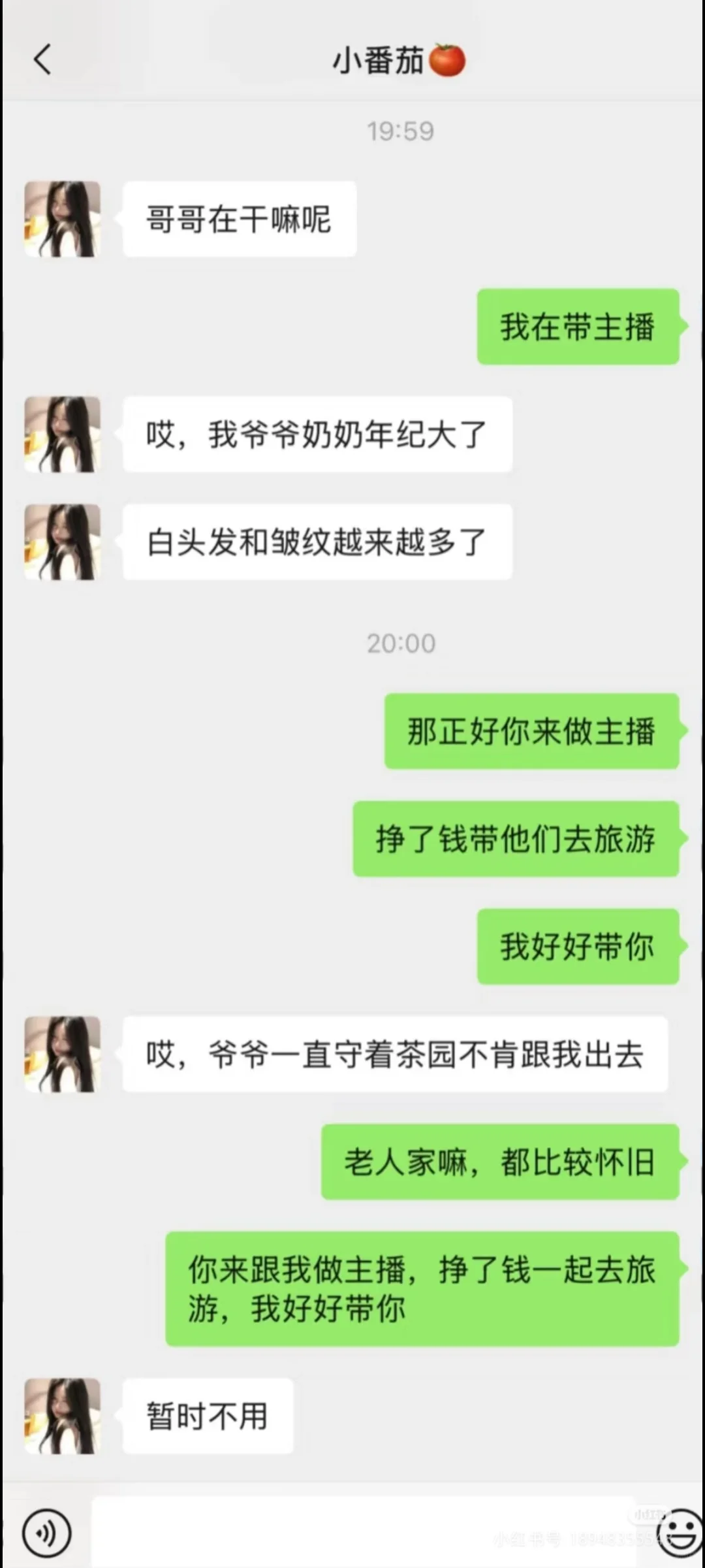 招主播 全网最高待遇