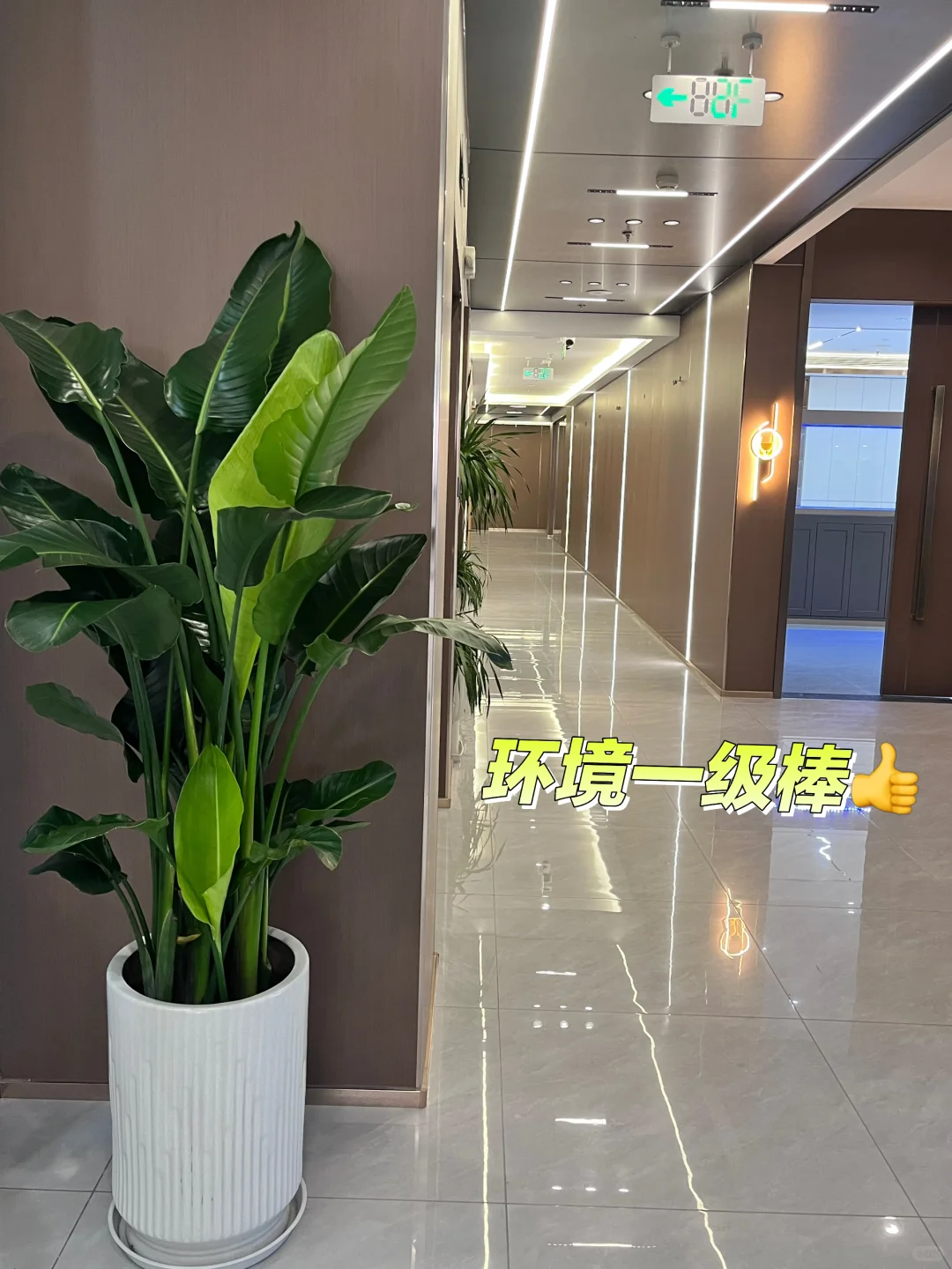 家人们?挖到合肥神仙传媒公司了