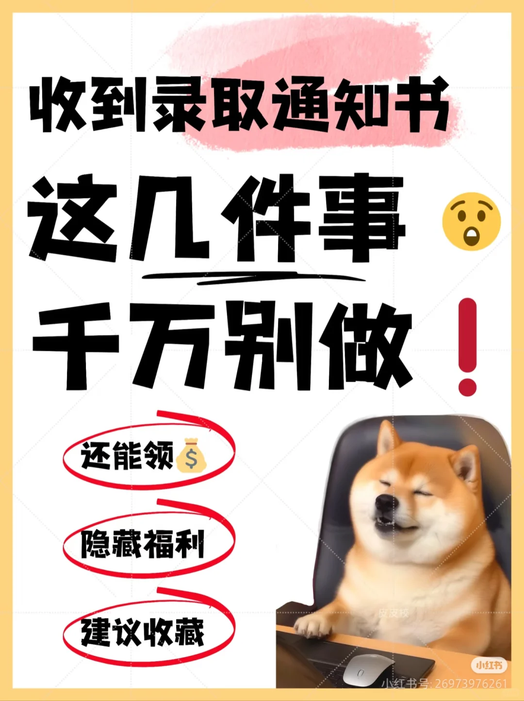 什么!录取通知书还能这么用!