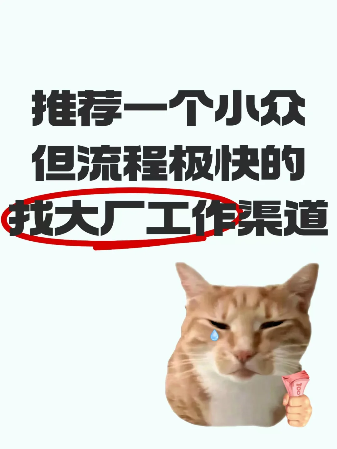 推荐一个小众但流程极快的找大厂工作渠道