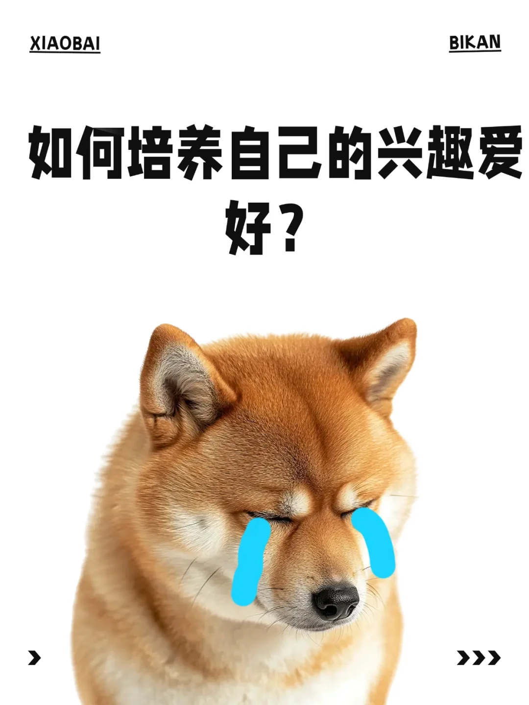 MCN不会说的真相!主播收入80%被运营克扣