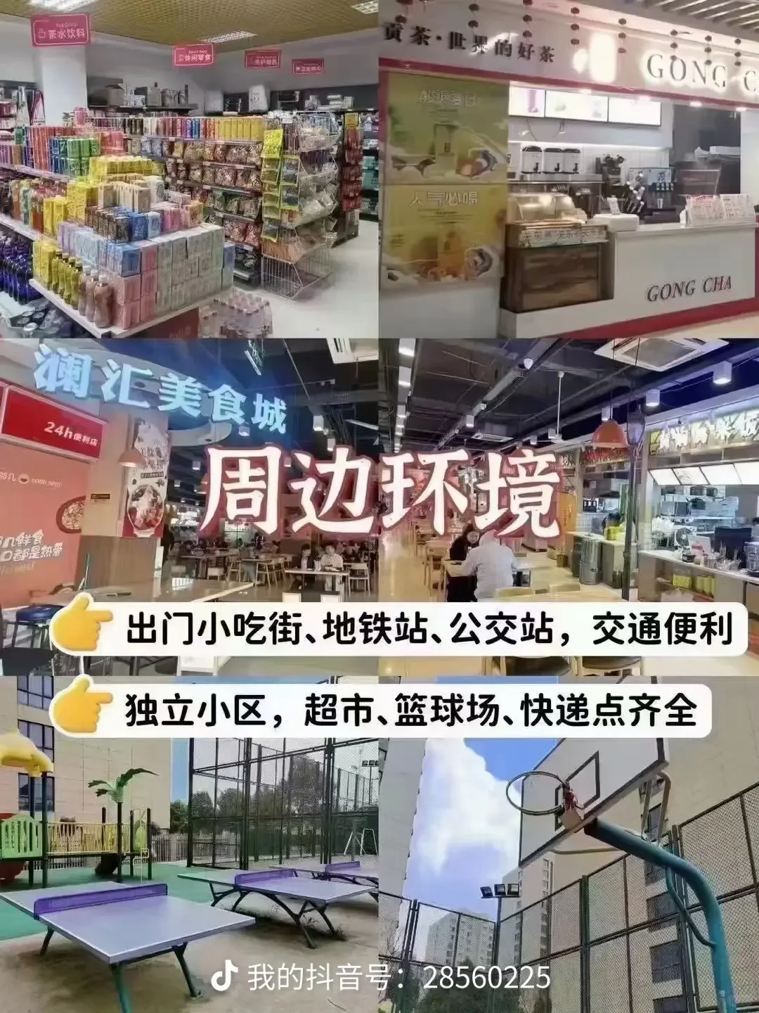 逐梦人才社区,中安专升本体验总结