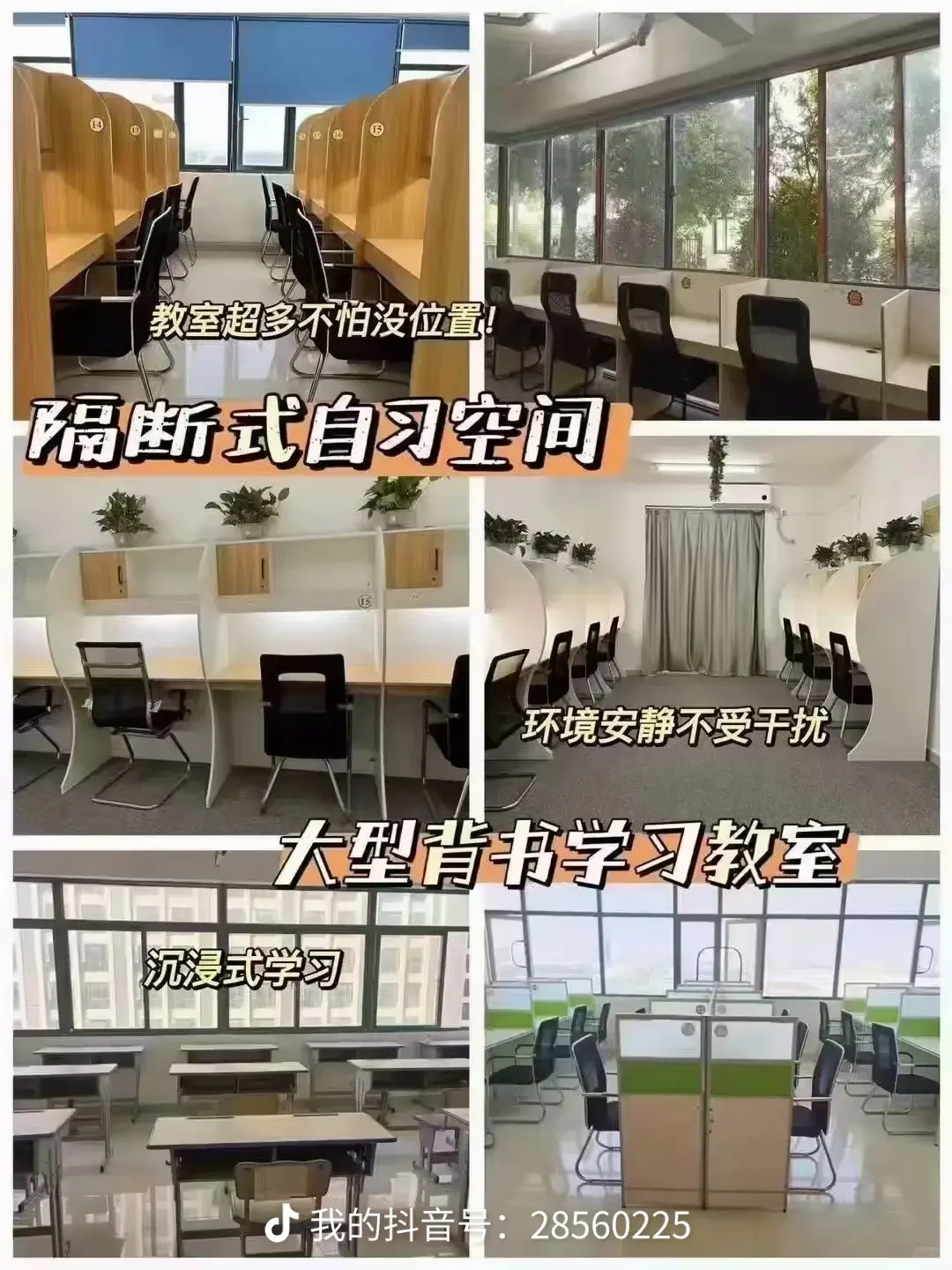逐梦人才社区,中安专升本体验总结