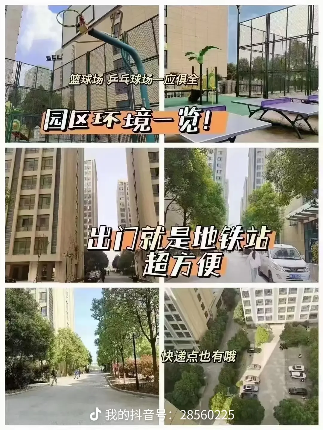 逐梦人才社区,中安专升本体验总结