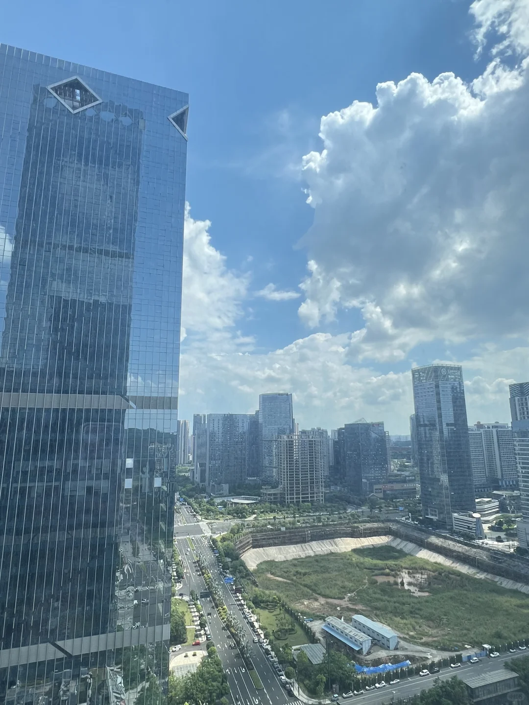 高薪诚聘国企茶叶带货主播｜拒绝祖宗大小姐！